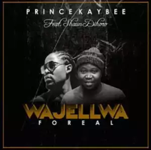 Prince Kaybee - Wajellwa